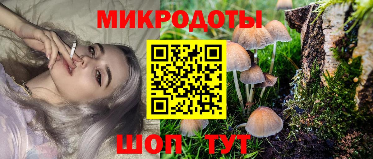 Электросталь  Галлюциногенные грибы Cubensis  Галлюциногенные грибы MAGIC MUSHROOMS  купить закладку  Вход с VPN 